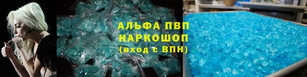 прущие грибы Беломорск
