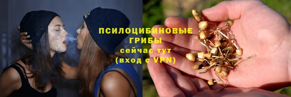 прущие грибы Белокуриха
