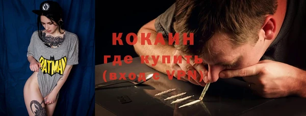 прущие грибы Беломорск