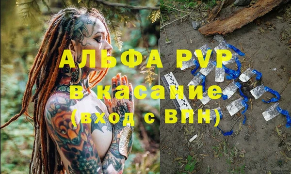 прущие грибы Беломорск