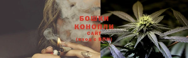 прущие грибы Беломорск