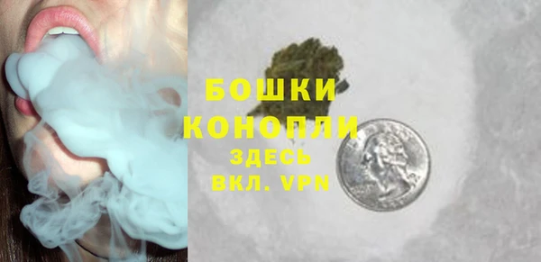 прущие грибы Белокуриха