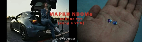 прущие грибы Белокуриха