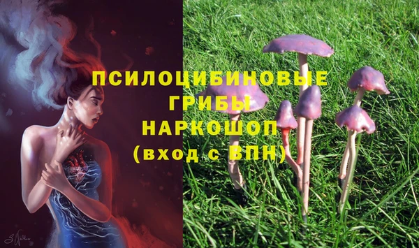 эйфоретик Белоозёрский