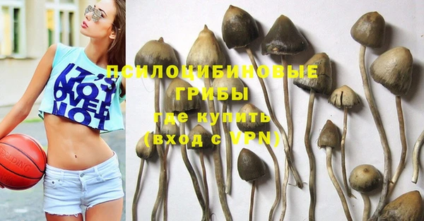 эйфоретик Белоозёрский