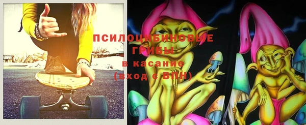 прущие грибы Белокуриха