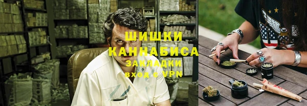 прущие грибы Белокуриха