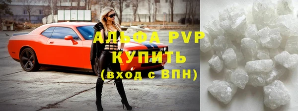 прущие грибы Беломорск